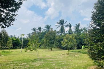 Taman Tasik Semenyih