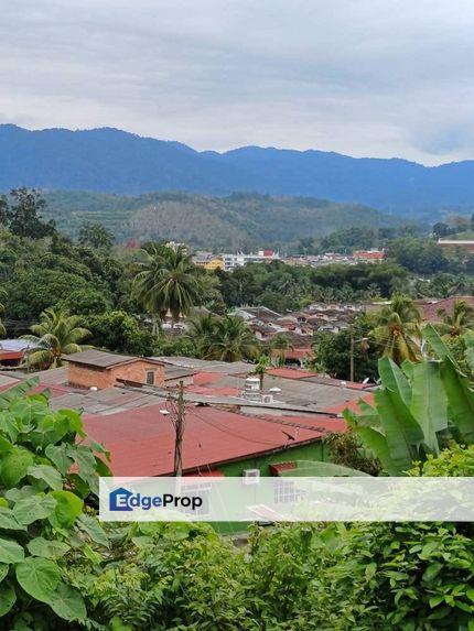 Kuala Klawang-Agriculture Land For Sale, Negeri Sembilan, Jelebu