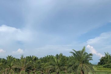 Kawasan Perniagaan Simpang Ampat