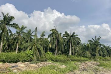 Kawasan Perniagaan Simpang Ampat