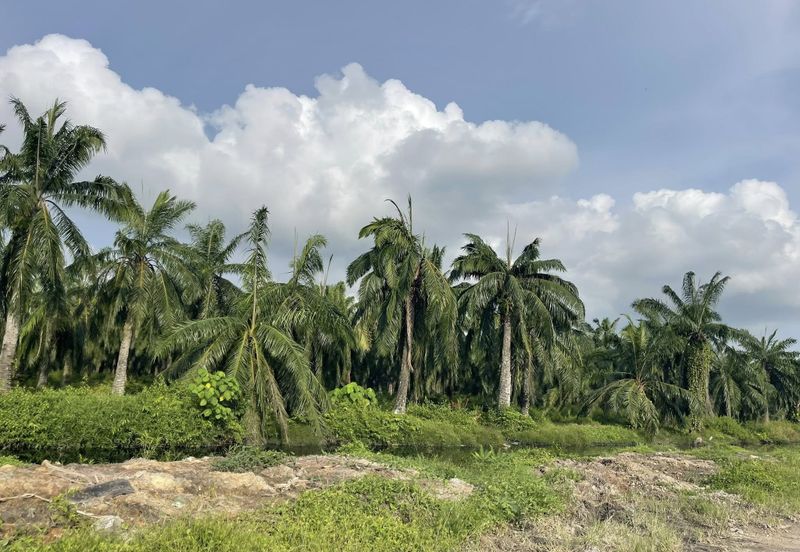 Kawasan Perniagaan Simpang Ampat