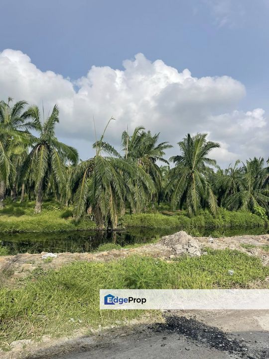 Simpang Ampat, Penang-Agriculture Land-For Sell, Penang, Simpang Ampat