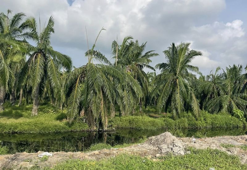Kawasan Perniagaan Simpang Ampat