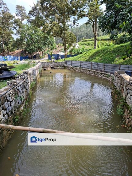 Broga-Agricultural Land-For Sale, Selangor, Semenyih