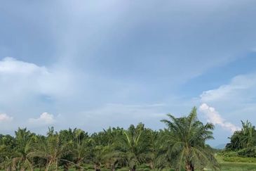 Taman Iks Simpang Ampat