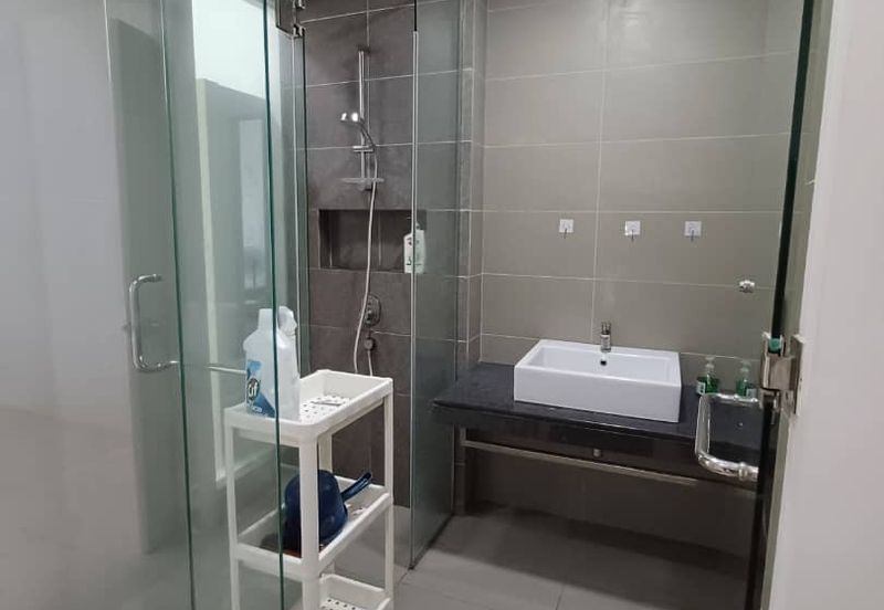 Arnica @ Tropicana Gardens