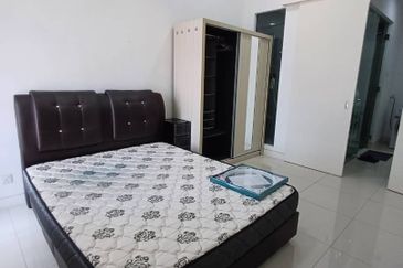 Arnica @ Tropicana Gardens