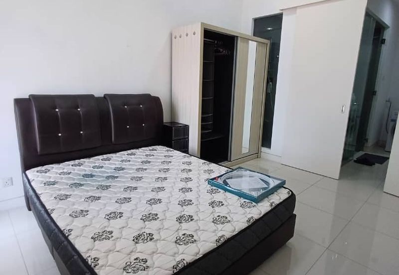 Arnica @ Tropicana Gardens