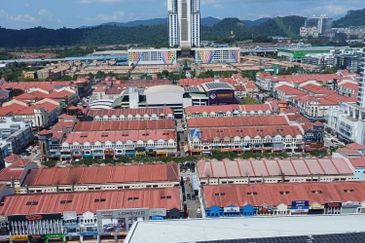 Arnica @ Tropicana Gardens