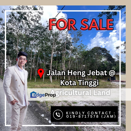Jalan Heng Jebat @ Kota Tinggi. Agricultural Land For Sale, Johor, Kota Tinggi