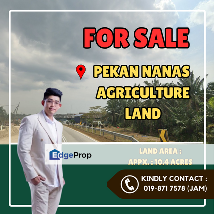 Pekan Nanas, Agriculture Land For Sale, Johor, Pontian