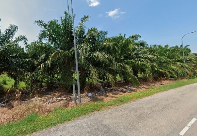 Potential Development Land For Sale in Tanjong Karang, Kuala Selangor
