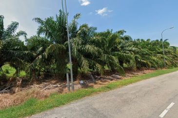 Potential Development Land For Sale in Tanjong Karang, Kuala Selangor