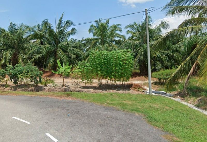 Potential Development Land For Sale in Tanjong Karang, Kuala Selangor