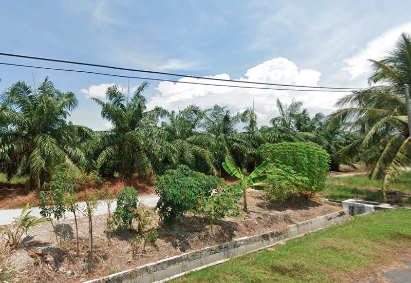 Potential Development Land For Sale in Tanjong Karang, Kuala Selangor
