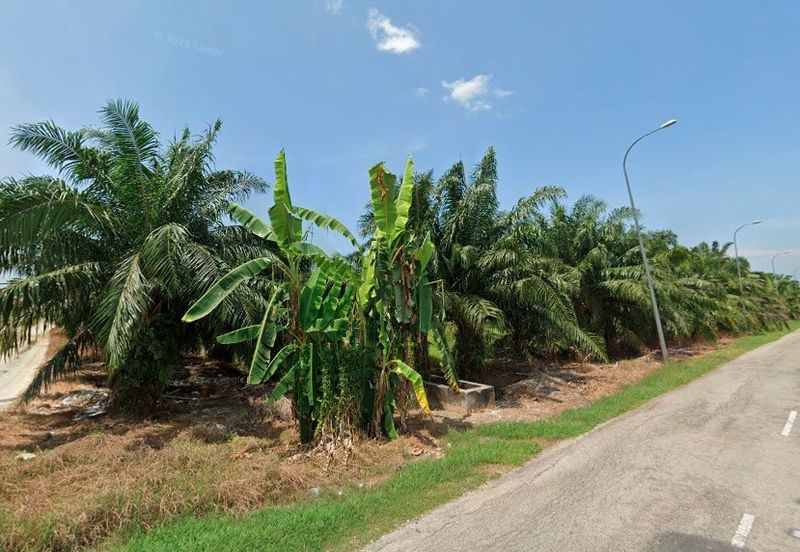 Potential Development Land For Sale in Tanjong Karang, Kuala Selangor