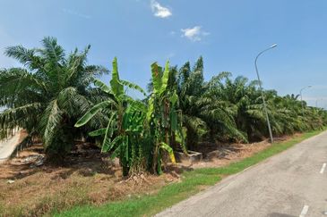 Potential Development Land For Sale in Tanjong Karang, Kuala Selangor