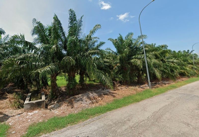 Potential Development Land For Sale in Tanjong Karang, Kuala Selangor