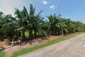 Potential Development Land For Sale in Tanjong Karang, Kuala Selangor