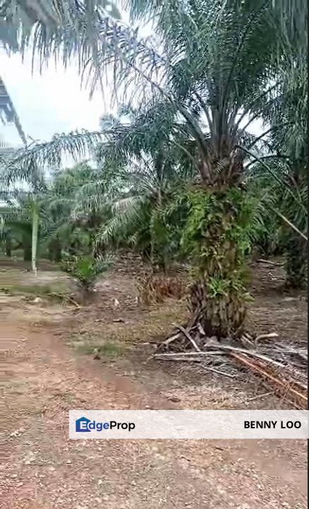 Jeram Land Zoning Industrial For Sale, Selangor, Jeram
