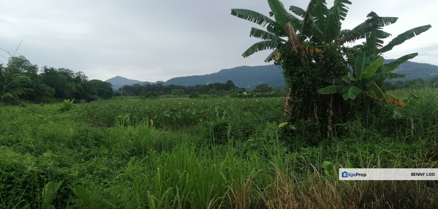 Land For Sale In Rawang Sungai Choh, Selangor, Rawang