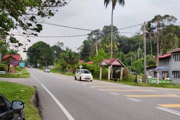 Oil Palm Plantation For Sale