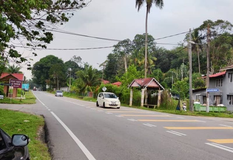 Oil Palm Plantation For Sale