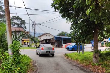 Oil Palm Plantation For Sale