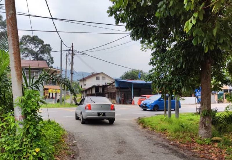 Oil Palm Plantation For Sale