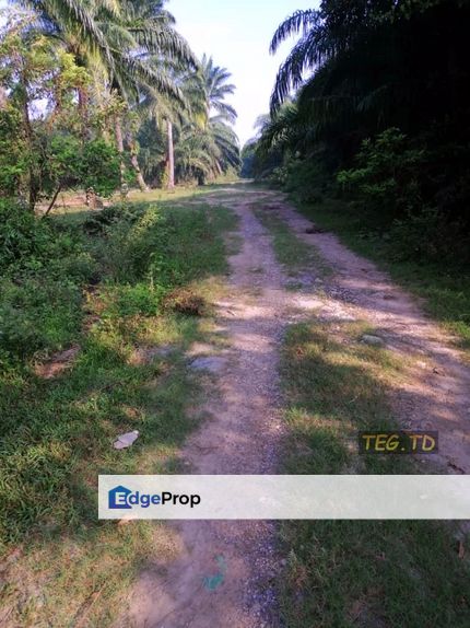 Batu 7 Jalan Kapar Klang Agricultural Land Freehold, Selangor, Klang