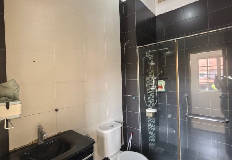 Anggerik Doritis @ Kota Kemuning