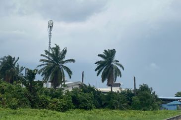 West Port, Pulau Indah