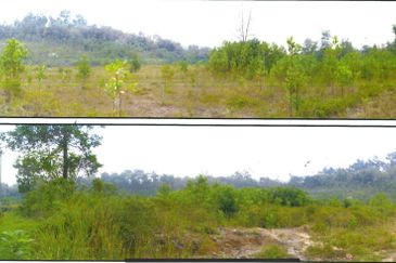 Kawasan Perindustrian Rasa