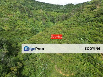 Agriculture Land Sungai Siput Perak For Sale , Perak, Kuala Kangsar