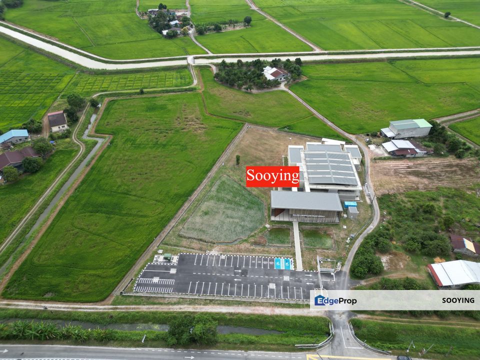 Facing Road 9.04 Acres Land First Grade Guah Kepah Kampung Bumbong Lima Beside Archaelogy Penang For Sale, Penang, Penaga