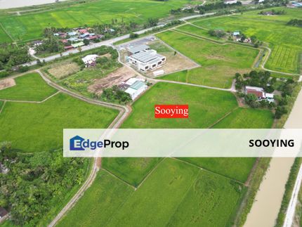 Facing Road 9.04 Acres Land First Grade Guah Kepah Kampung Bumbong Lima Beside Archaelogy Penang For Sale, Penang, Penaga