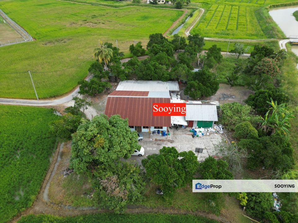 Facing Road 9.04 Acres Land First Grade Guah Kepah Kampung Bumbong Lima Beside Archaelogy Penang For Sale, Penang, Penaga