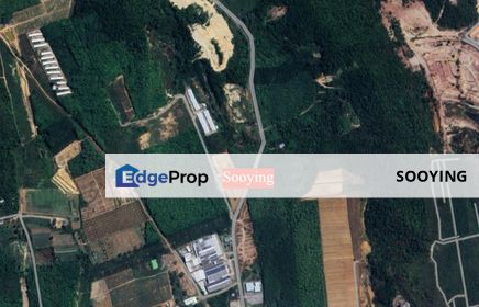 10.88 Acres Agricultural Land (Residential Zoning) Besides Road Jabi Pokok Sena Kedah For Sale , Kedah, Pokok Sena
