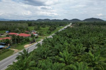 Pokok Sena Beside Road Agricultural Land For Sale 