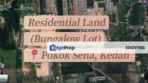Residential Land @ Bungalow Lot Land Pokok Sena Kedah For Sale , Kedah, Pokok Sena