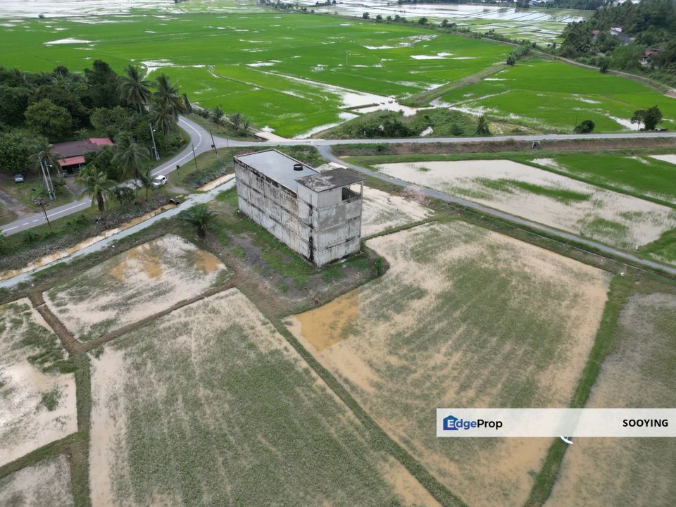 Binjal Bukit Beruas Agricultural Land With Bird Swiftlet House Kubang Pasu Jitra For Sale , Kedah, Kubang Pasu