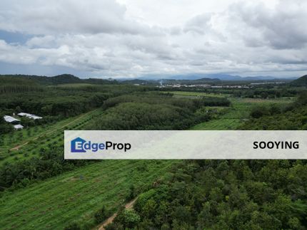 Agricultural Land Jabi Pokok Sena Kedah For Sale , Kedah, Pokok Sena