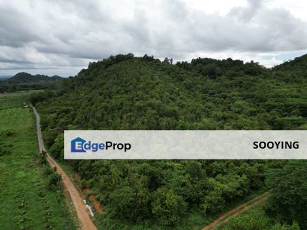 Agricultural Land Jabi Pokok Sena Kedah For Sale, Kedah, Pokok Sena