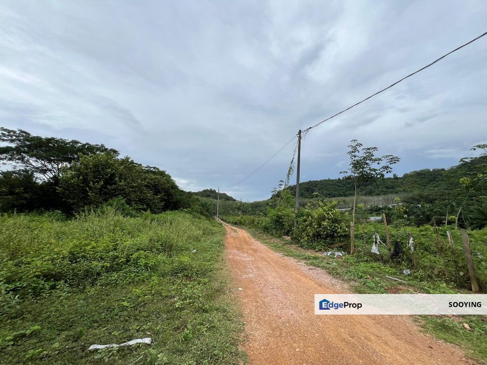 Agricultural Land Jabi Pokok Sena Kedah For Sale, Kedah, Pokok Sena
