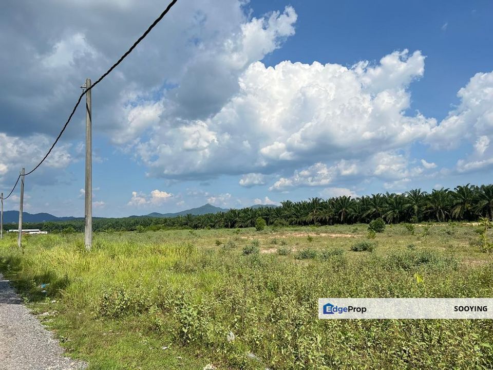 Under Value @ 134,624 sqft Industry Land Jalan Changlun North-South Highway Jitra Kedah For Sale , Kedah, Jitra