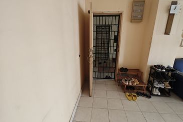 Evergreen Park Scot Pine