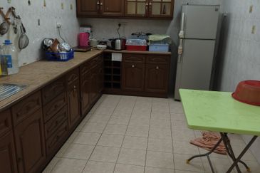 Evergreen Park Scot Pine