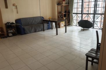 Evergreen Park Scot Pine