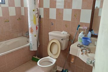 Evergreen Park Scot Pine