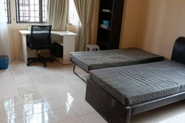 Evergreen Park Scot Pine